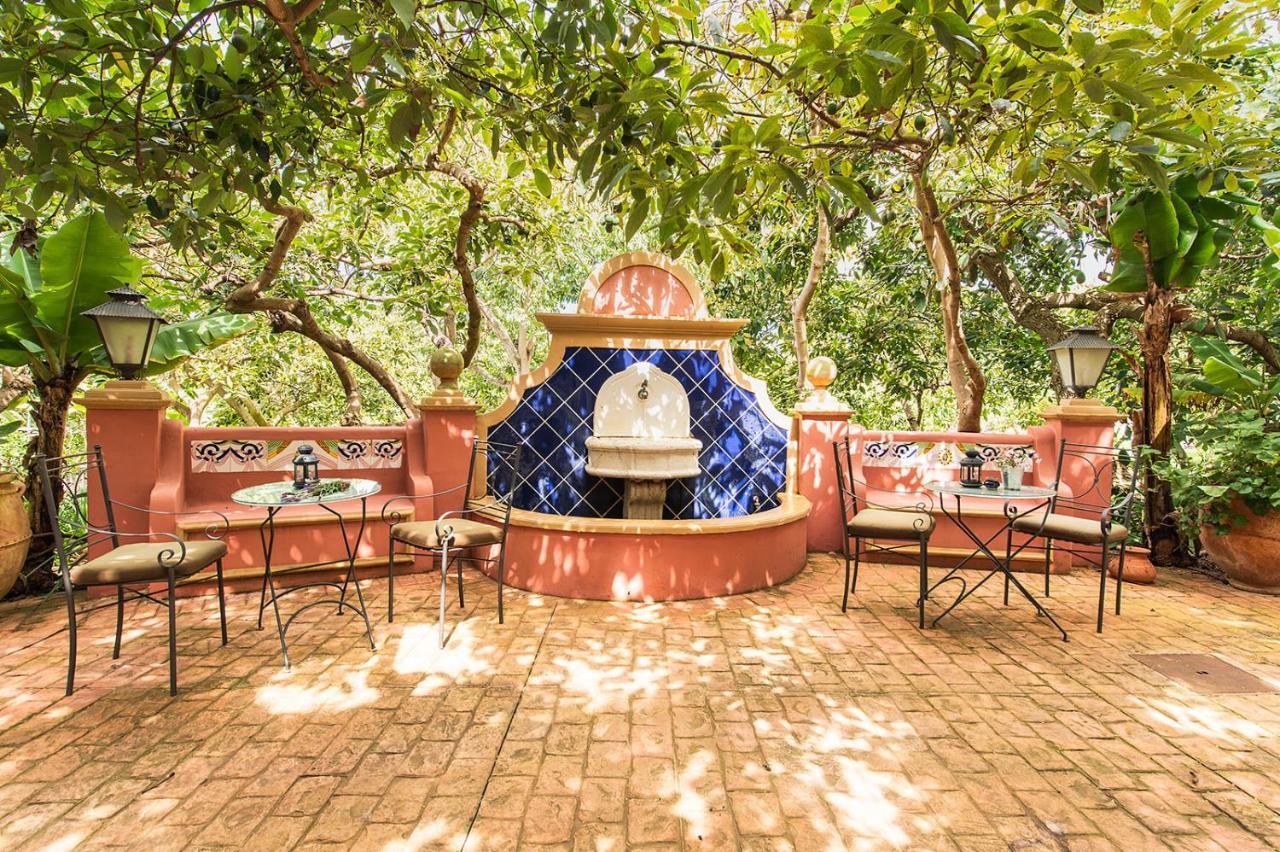 Homeforguest Cosy Rural Flat El Romero With Large Gardens Такоронте Экстерьер фото
