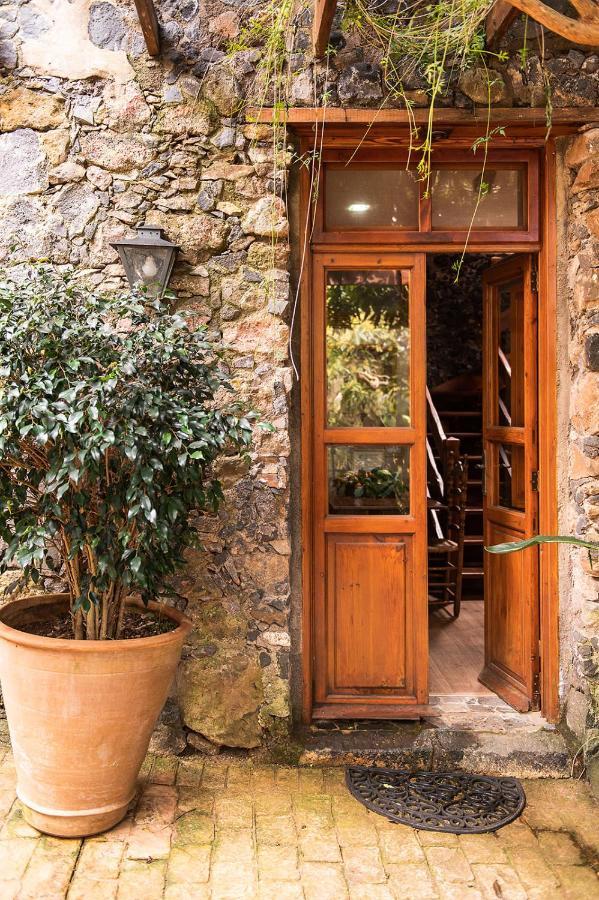 Homeforguest Cosy Rural Flat El Romero With Large Gardens Такоронте Экстерьер фото
