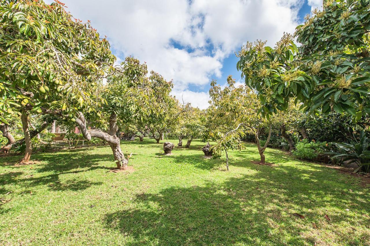 Homeforguest Cosy Rural Flat El Romero With Large Gardens Такоронте Экстерьер фото