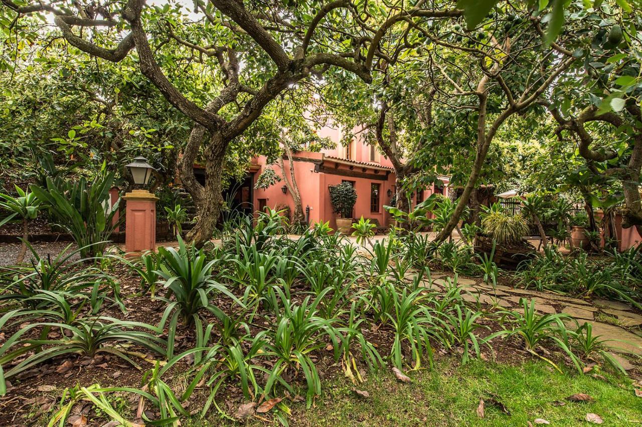 Homeforguest Cosy Rural Flat El Romero With Large Gardens Такоронте Экстерьер фото